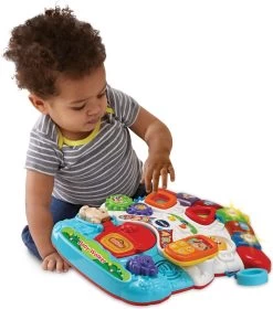VTech 2 In 1 Baby Walker - Educatief Babyspeelgoed - Loopwagen Met Licht -Babyproducten Winkel 1057x1200