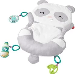 Fisher Price Allesinéén Pandaspeelmat -Babyproducten Winkel 1200x1184 1