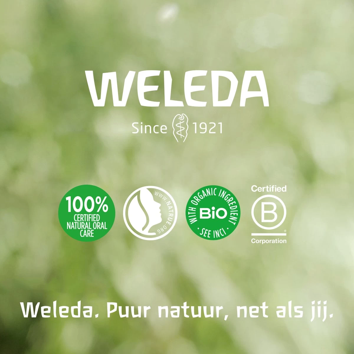 Weleda Baby Sensitive Witte Malva Gezichtscrème 5 Weleda Baby Sensitive Witte Malva Gezichtscrème - Afbeelding 5