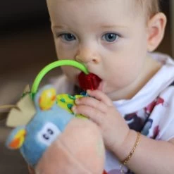 Playgro Clip Clop Rammelaar - Blauw - Activiteitenspeeltje - Kraamkado -Babyproducten Winkel 1200x1200 646