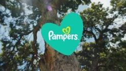 Pampers® Pampers Baby-Dry Luiers - Maat 4+ (10-15 Kg) - 152 Stuks - Multi-Pack -Babyproducten Winkel 1200x675