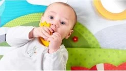 Tiny Love Supermat Speelmat - Meadow Days -Babyproducten Winkel 1200x678 2