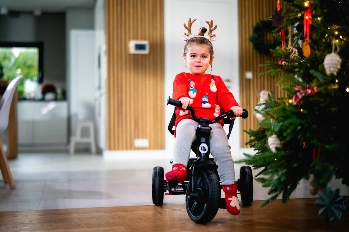 Lionelo Haari - Driewieler - Drankhouder - 2in1 - Tot 36+ 6 Lionelo Haari - Driewieler - Drankhouder - 2in1 - Tot 36+ - Afbeelding 6