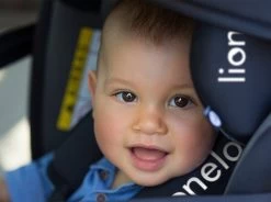 Lionelo Bastiaan - Autostoel - Roteerbaar - 0-36kg - 360° Draaibaar -Babyproducten Winkel 1200x896 8