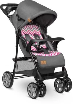Lionelo Emma Plus - Buggy - Lichte - 5-punts Gordel - Tot 15kg -Babyproducten Winkel 841x1200